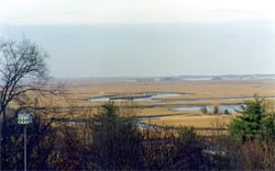 Salt Marsh